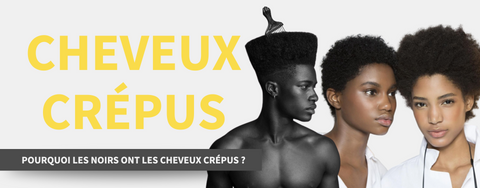 pourquoi les noirs ont les cheveux crepus