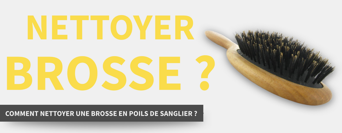 Comment Nettoyer Une Brosse En Poil De Sanglier